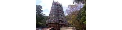 102. திருமாலிருஞ்சோலை (கள்ளழகர் கோயில்)